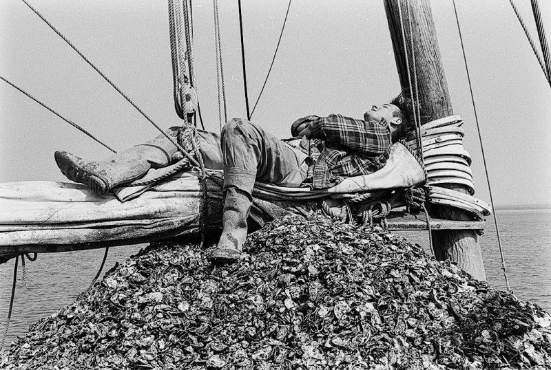 De Gast Chesapeake photo exhibit expands viewers’ horizons
